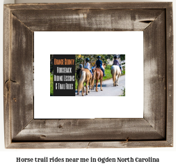 horse trail rides near me in Ogden, North Carolina